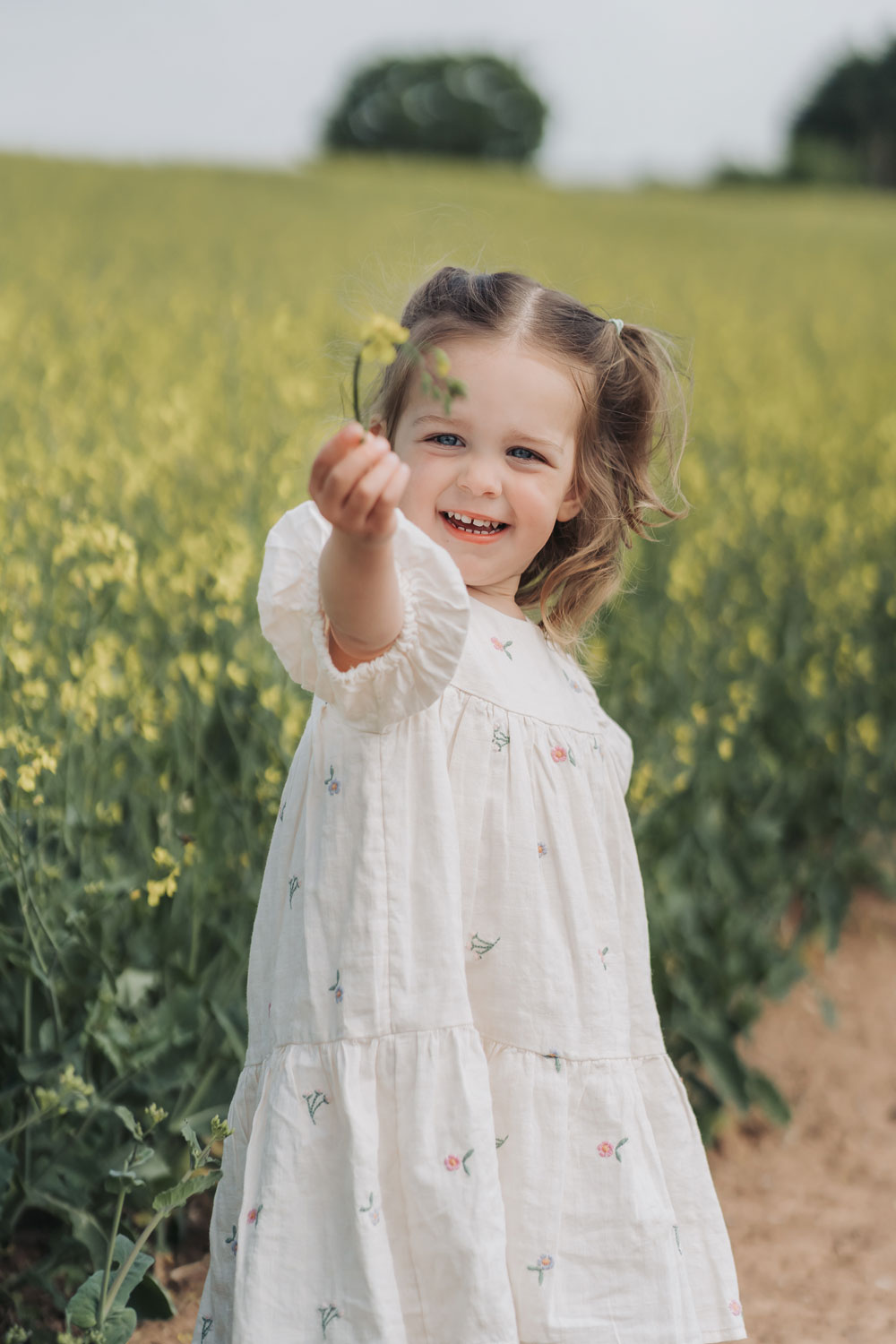 Little girl holding yellow flower in crop field at a family photoshoot at Wootton Park