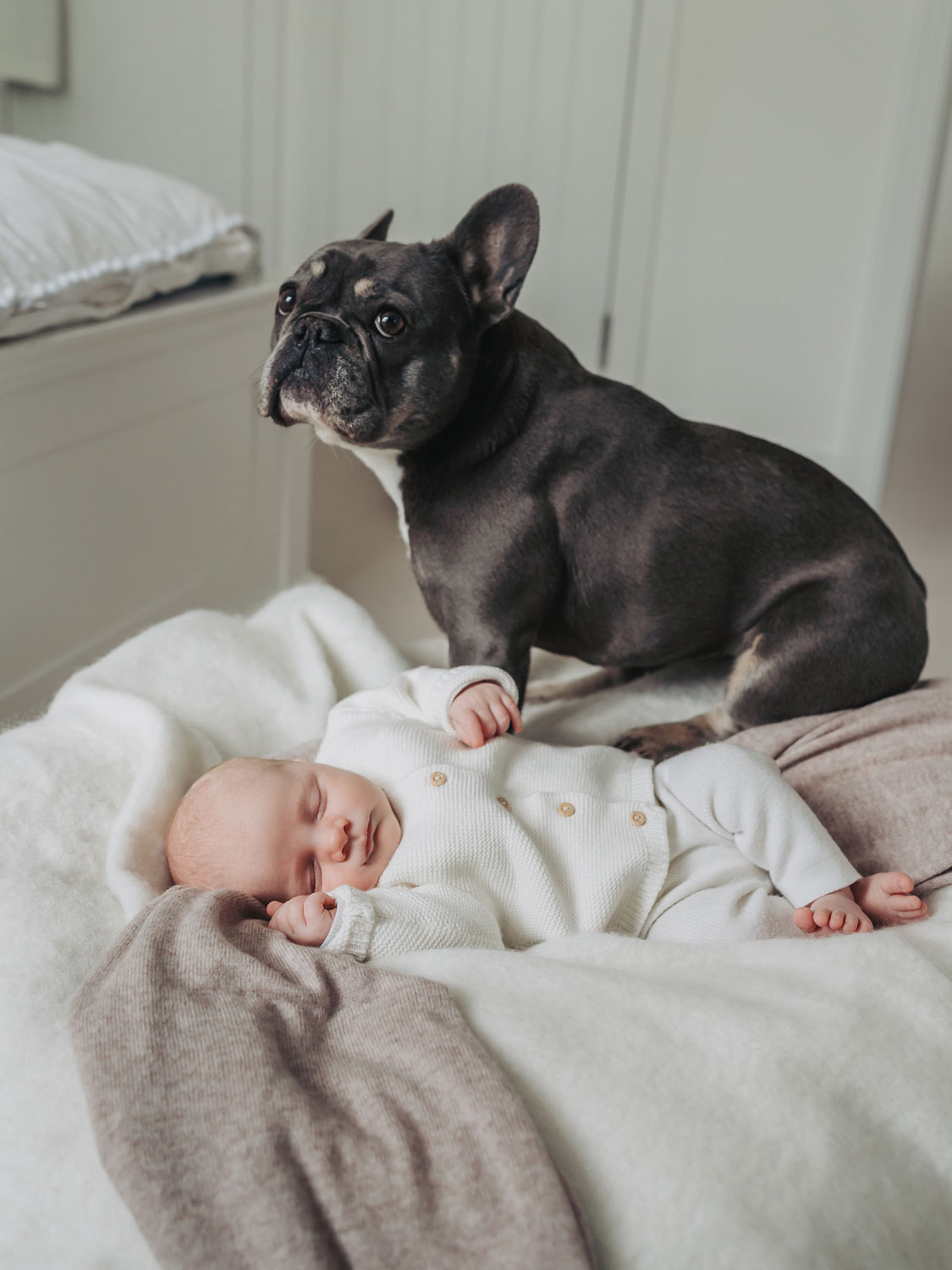 baby lying asleep on blankets whilst french bulldog sits behind
