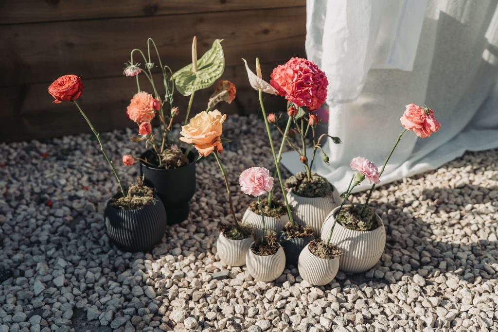 pink flowers in pot