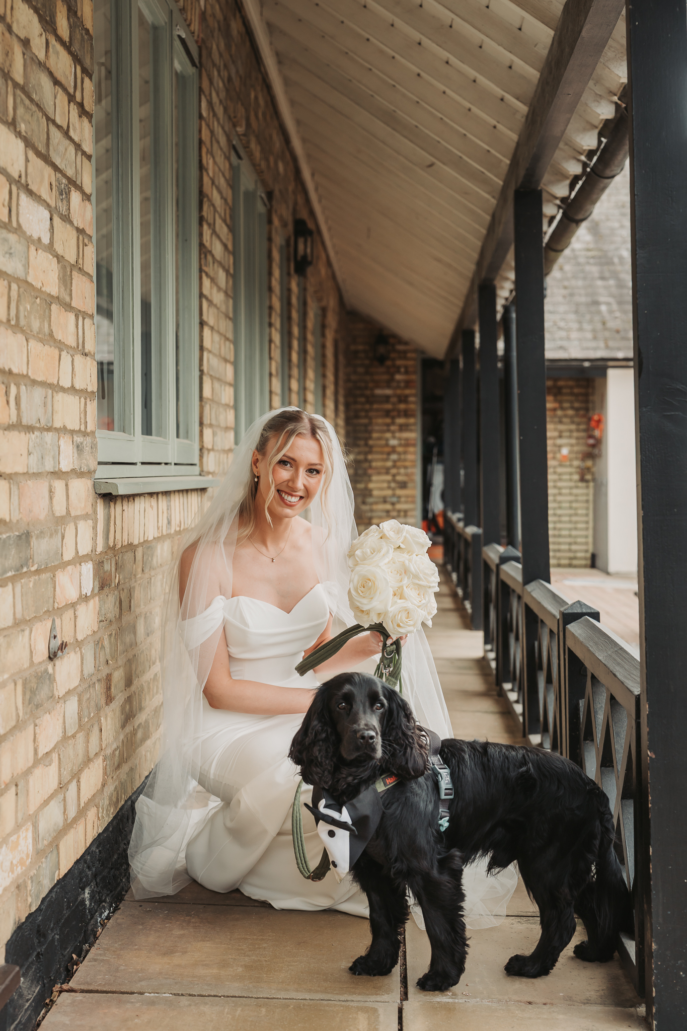 bride and dog bending down